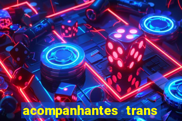 acompanhantes trans baixada fluminense